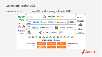 dubbo-opensergo-服务治理最佳实践